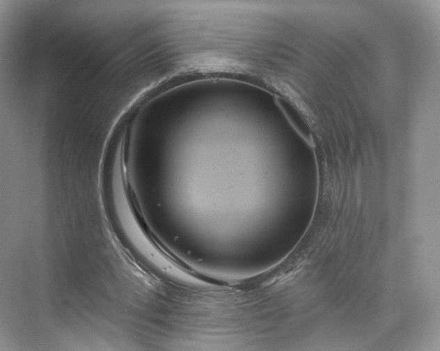 X0000073500391200608140914