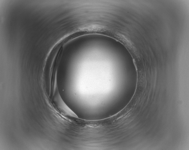 X0000073500392200608140914