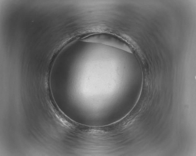 X0000073500393200608140914