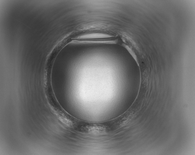 X0000073500400200608140913