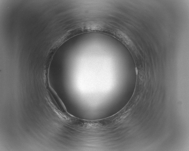 X0000073500401200608140913