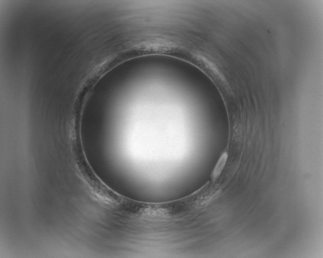 X0000073500403200608140913