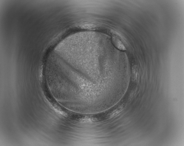 X0000073500404200608140913
