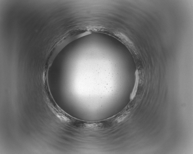 X0000073500405200608140913