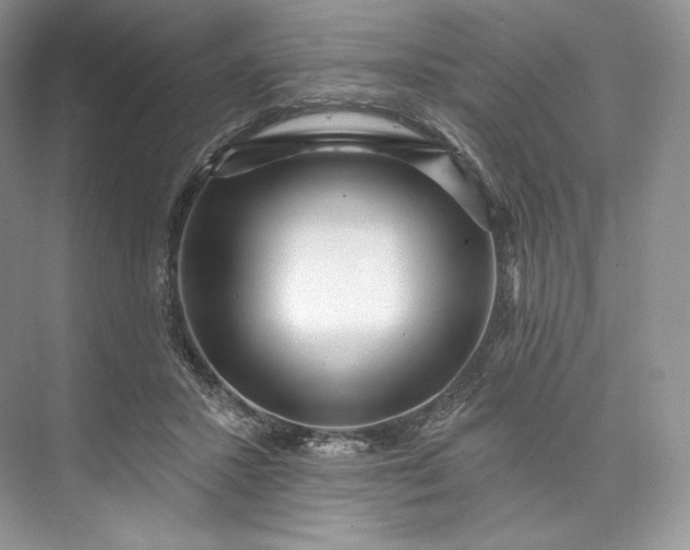 X0000073500407200608140913