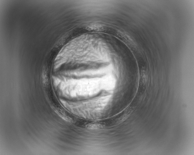 X0000073500408200608140913