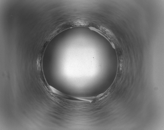 X0000073500409200608140913