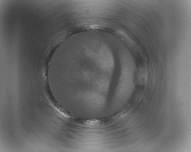 X0000073500410200608140913