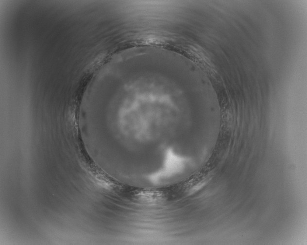 X0000073500415200608140913