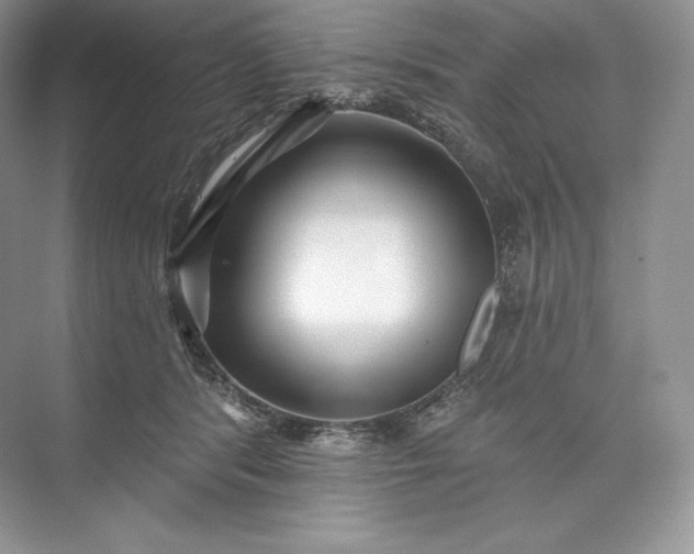X0000073500416200608140913