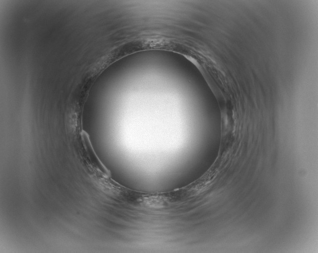 X0000073500417200608140913