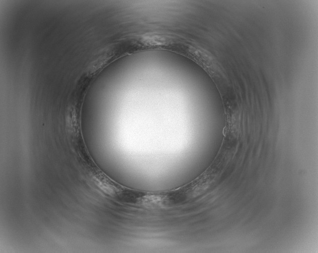 X0000073500418200608140913
