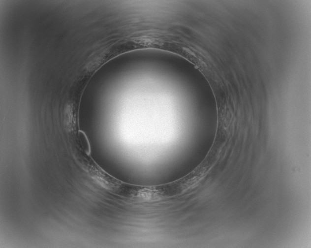 X0000073500420200608140913
