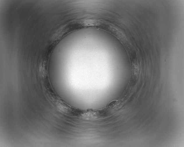 X0000073500422200608140913