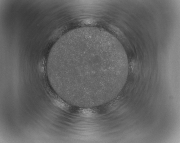 X0000073500423200608140913