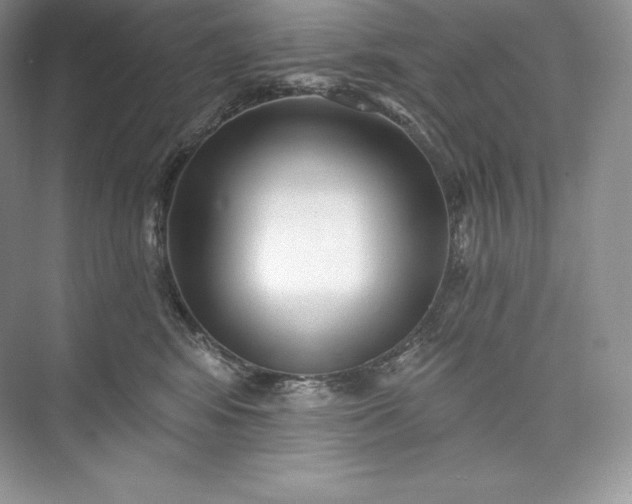 X0000073500424200608140913