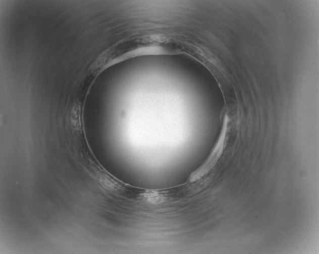 X0000073500425200608140913