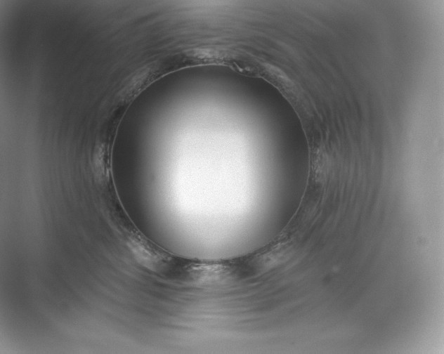 X0000073500428200608140913
