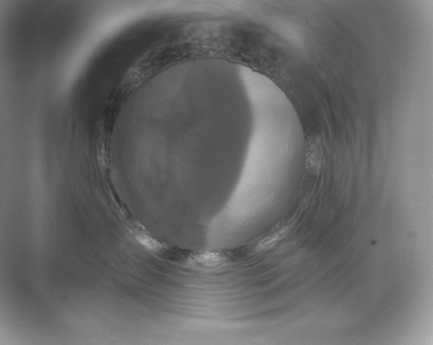 X0000073500431200608140913