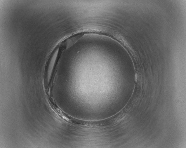 X0000073500434200608140912