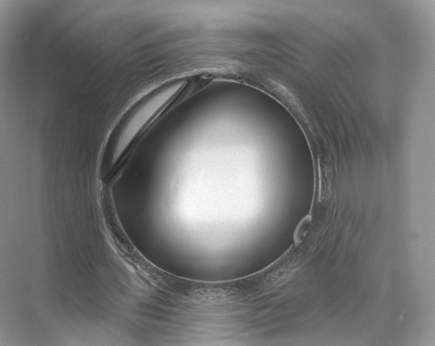 X0000073500435200608140912