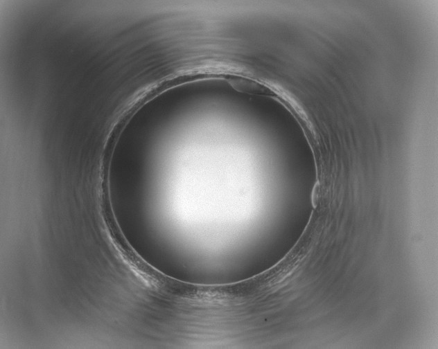 X0000073500437200608140912