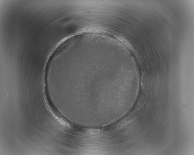 X0000073500438200608140912
