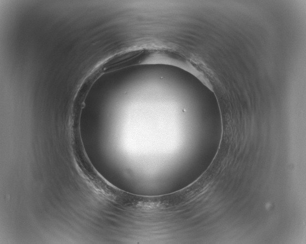 X0000073500440200608140912