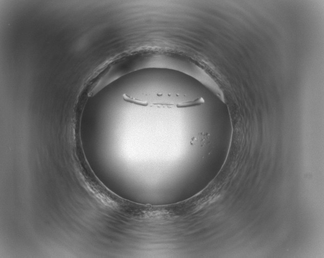 X0000073500446200608140912