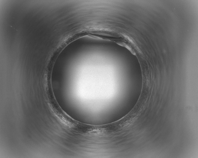 X0000073500447200608140912