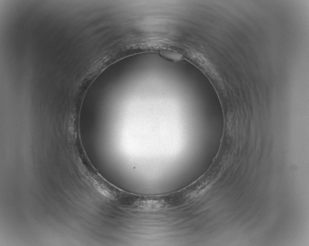 X0000073500449200608140912