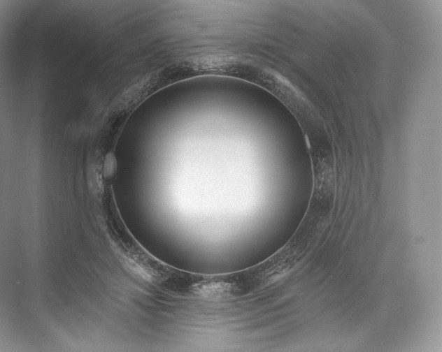 X0000073500452200608140912