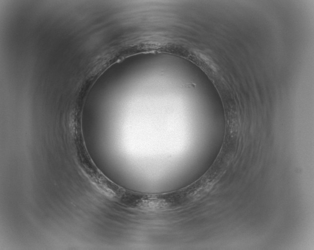 X0000073500455200608140912
