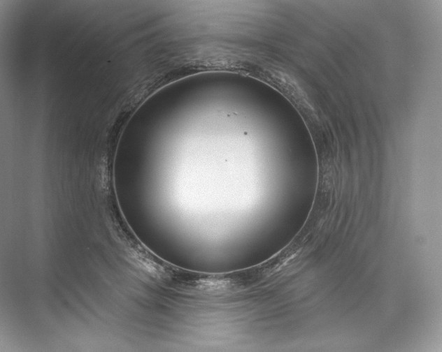X0000073500457200608140912