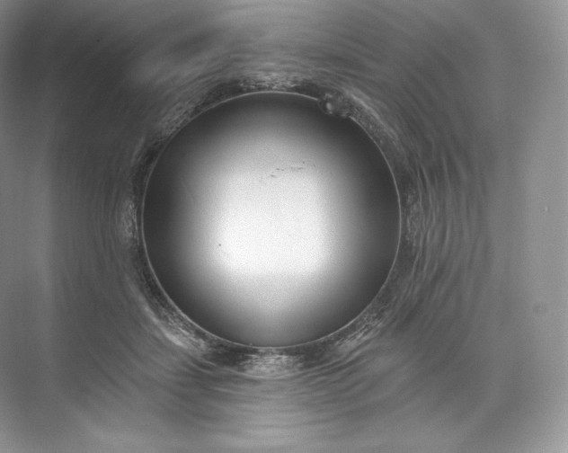 X0000073500459200608140912