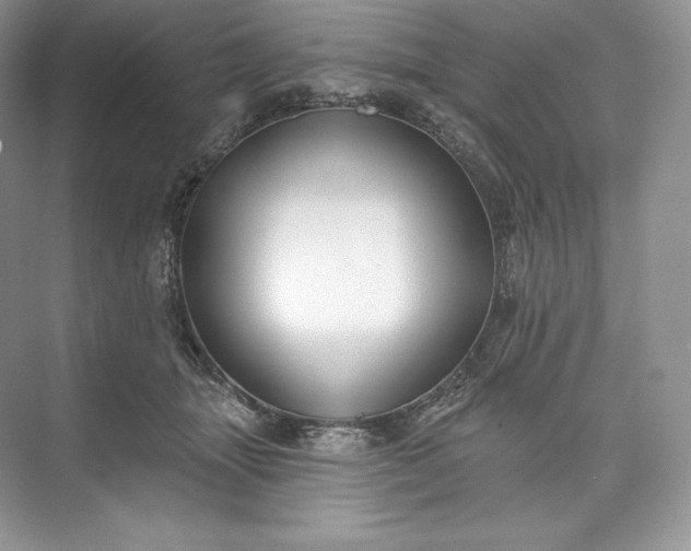 X0000073500463200608140913