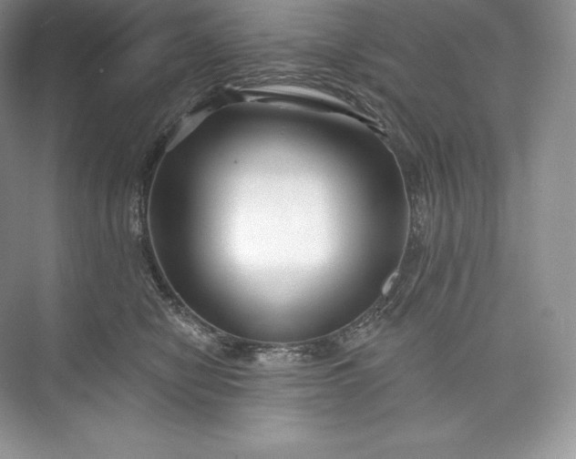 X0000073500470200608140913
