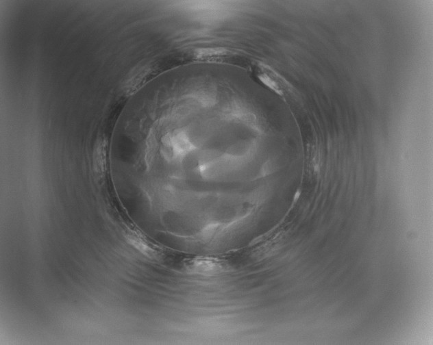 X0000073500475200608140913