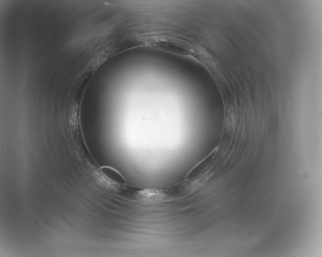 X0000073500477200608140913