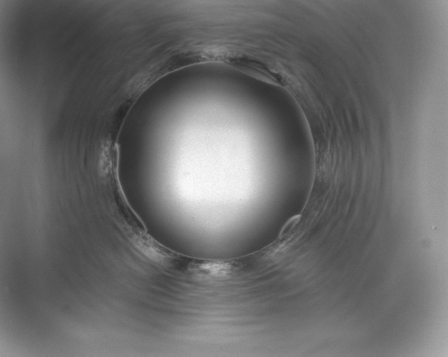 X0000073500478200608140913