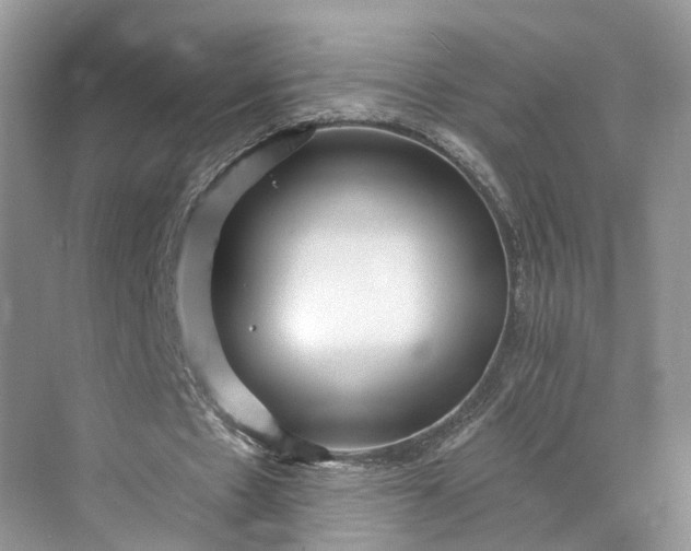 X0000073500481200608140912