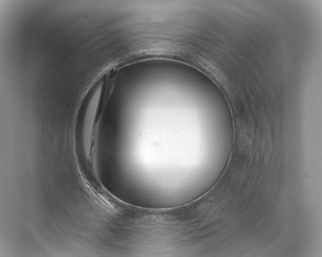 X0000073500482200608140912