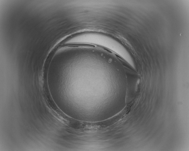 X0000073500484200608140912