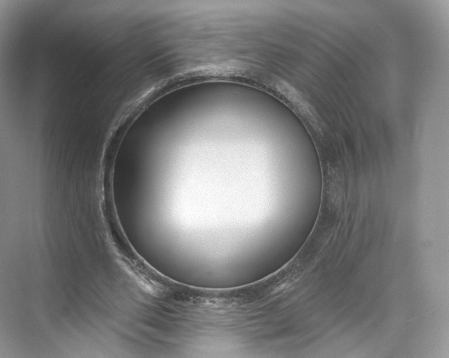 X0000073500486200608140912
