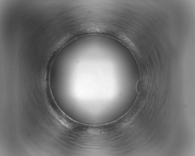 X0000073500490200608140912