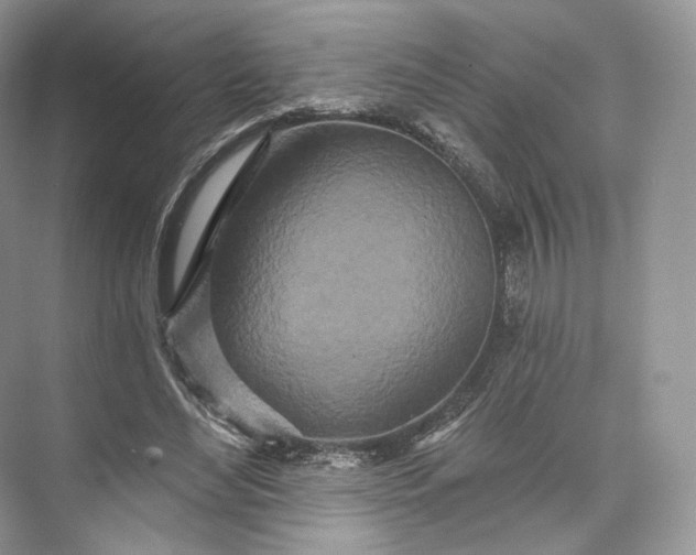 X0000073500492200608140912