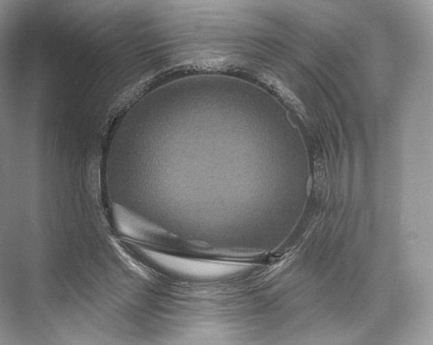 X0000073500493200608140912