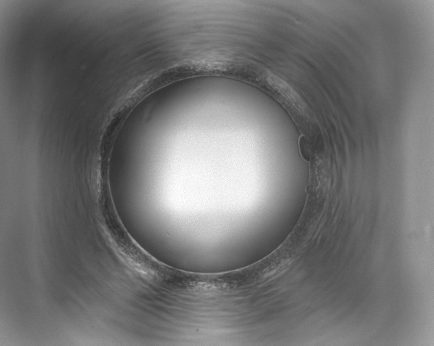 X0000073500494200608140912
