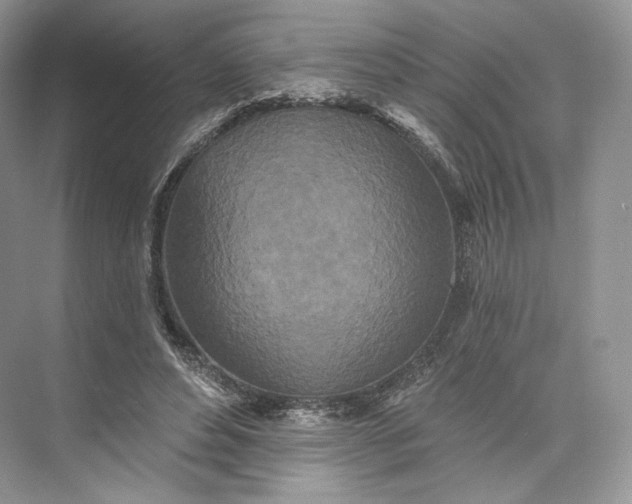 X0000073500496200608140912