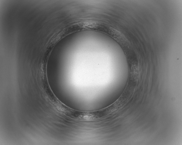 X0000073500506200608140912